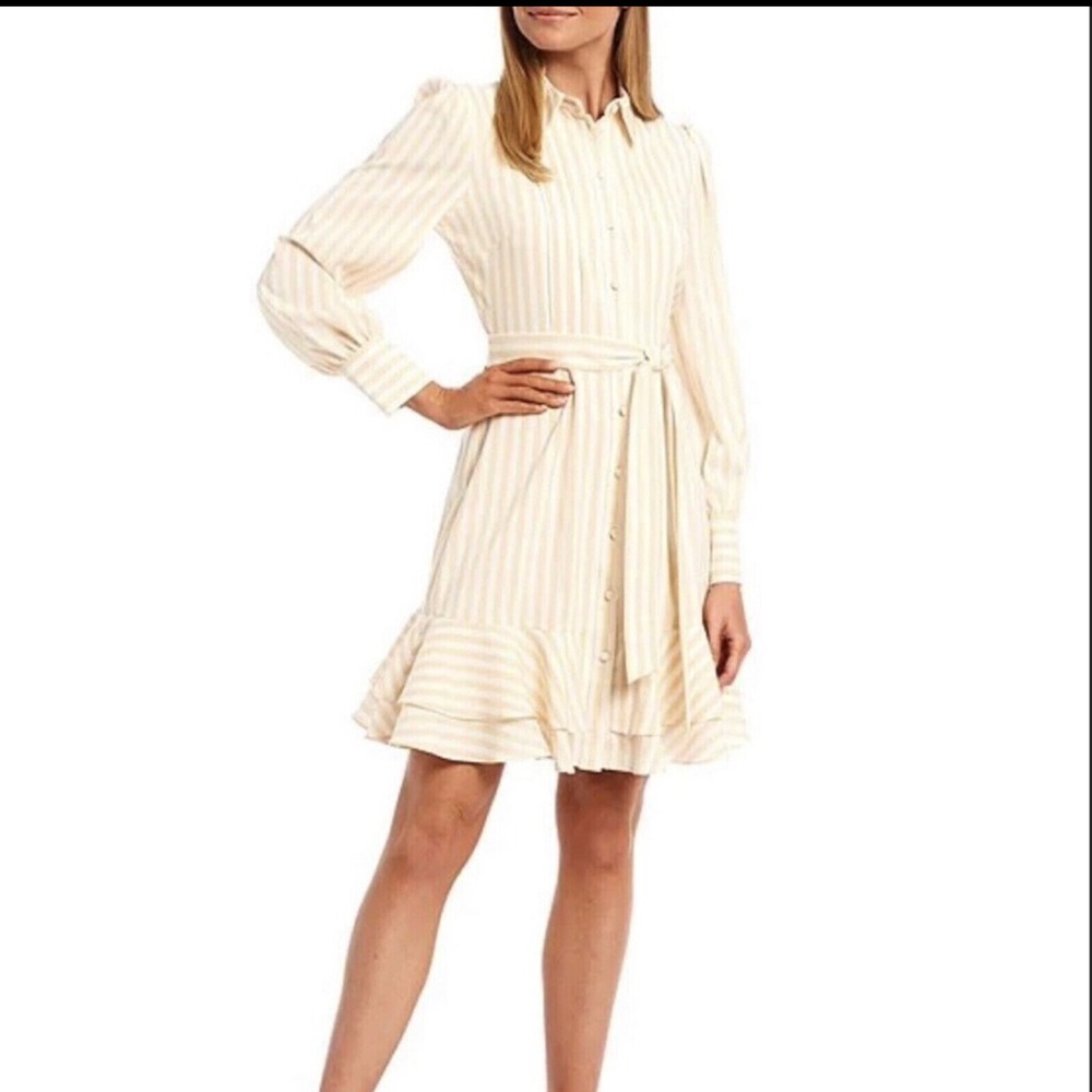 Alex Marie Jesse Cream Striped Shirt Dress - size 14 - Picture 2 of 12